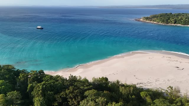 Playa de arena blanca, vegetación y agua turquesa en una foto de Sibon Charters